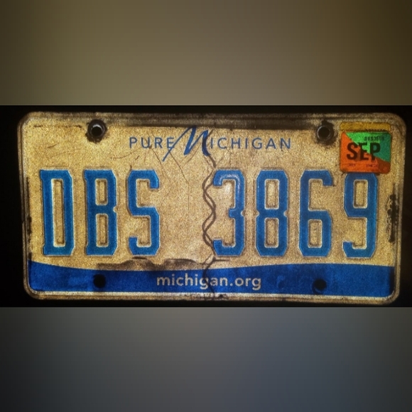 Other - Michigan license plate